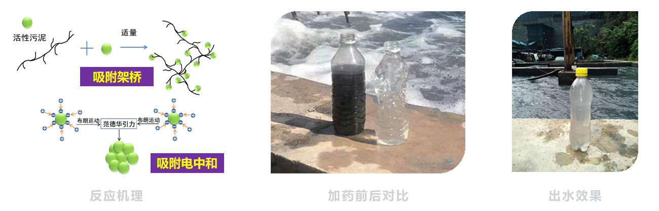 反应机理与效果对比.jpg